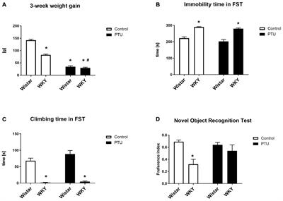 Impaired Brain Energy Metabolism: Involvement in Depression and Hypothyroidism